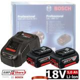 Аккумулятор Bosch GBA 18V 5,0 Ah (2 шт) + зарядное GAL 1880 CV (1600A00B8J)
